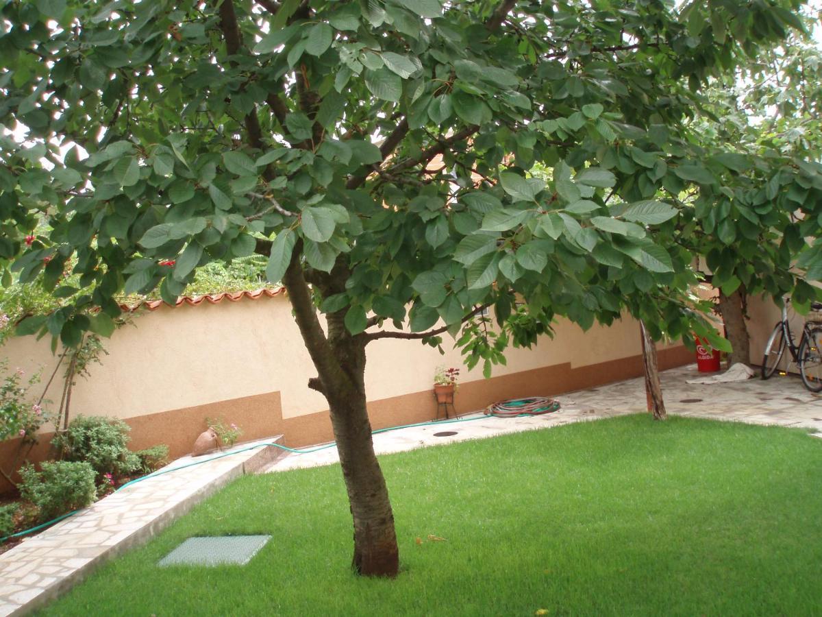 Haus Milan Ap3 Apartment Fazana Ngoại thất bức ảnh